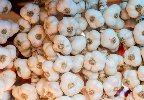 Garlic-2 Garlic-2