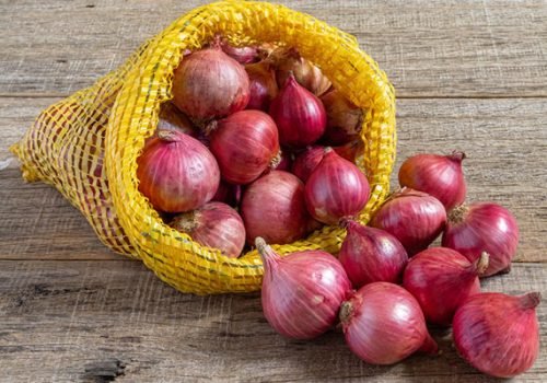Onion Onion
