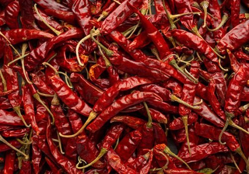 Red-Chilli Red-Chilli